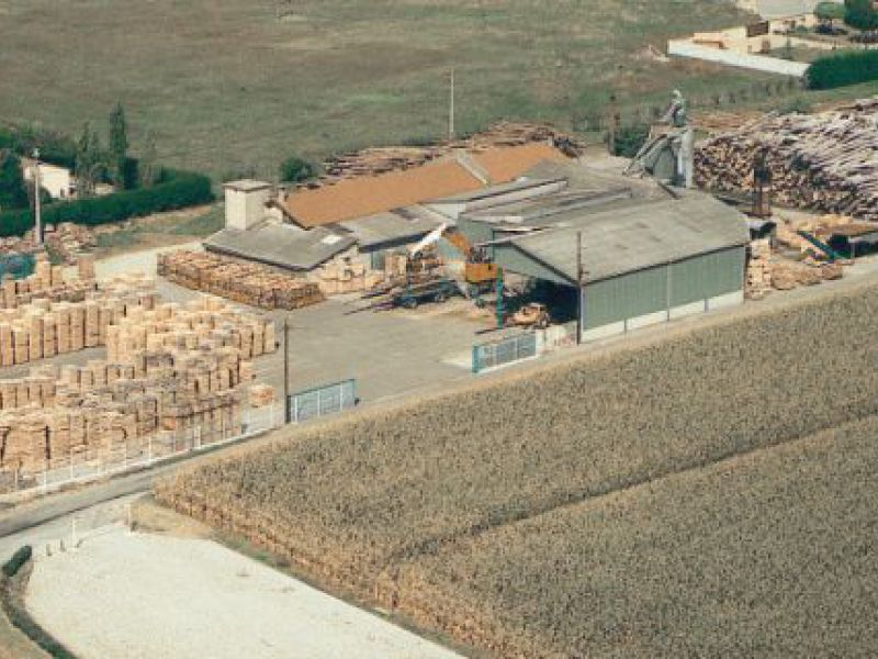 Grattoir à main - Acier forgé - Professionnel - Manche en bois de frêne